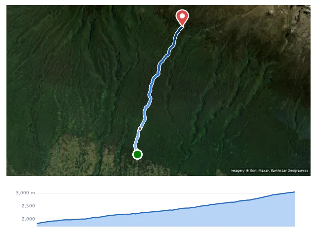 D1 Machame Gate → Machame Camp 路線示意圖與高程剖面